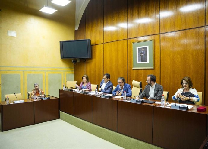 El consejero de Justicia, José Antonio Nieto, a los diputados de la Comisión de Justicia sobre los servicios para atender a las víctimas más vulnerables