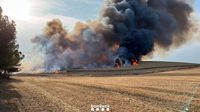 L'incendi en camp a Oliola (Lleida)