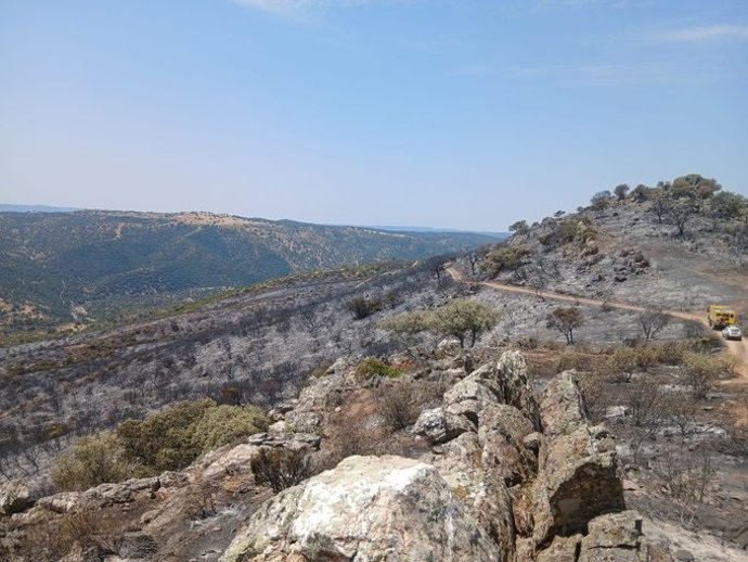 Zona afectada por el incendio de la Sierra de Andújar
