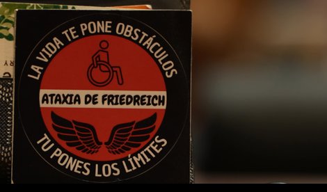 Vídeos