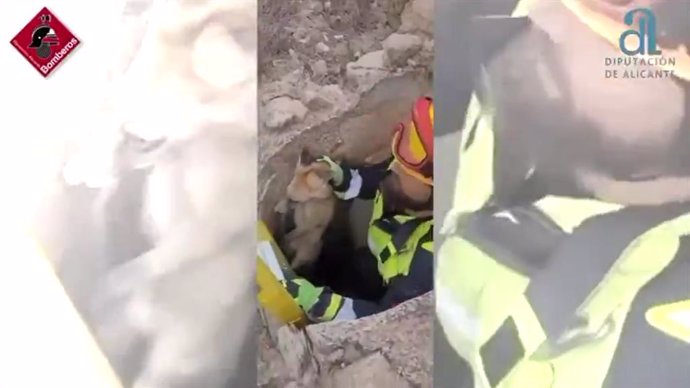 Vídeo de la noticia