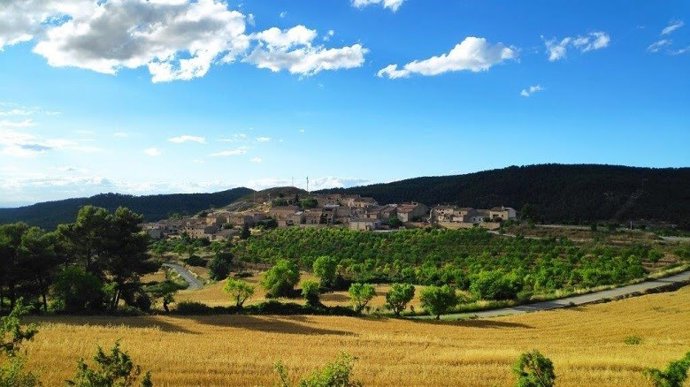 Archivo - Explotaciones agrarias.