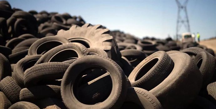 Neumáticos recogidos tras la dana