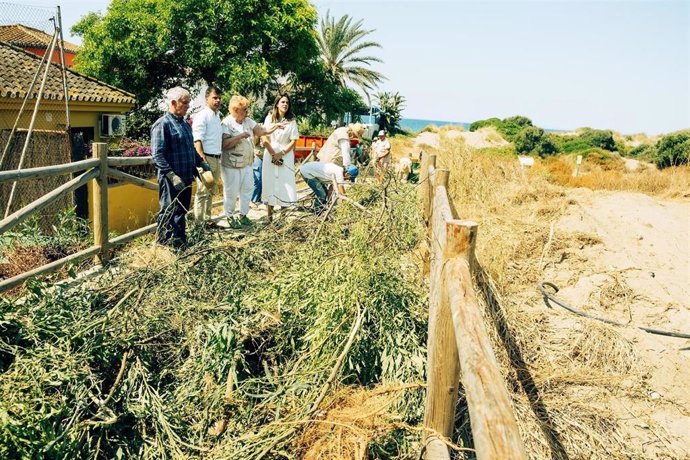 El Ayuntamiento de Marbella impulsa labores de conservación en la Reserva Ecológica Dunas