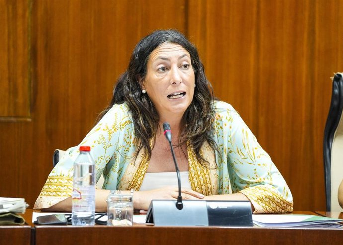 Loles López, consejera de Inclusión Social, Juventud, Familias e Igualdad, en una de sus comparecencias a fecha de 03 de julio de 2025.