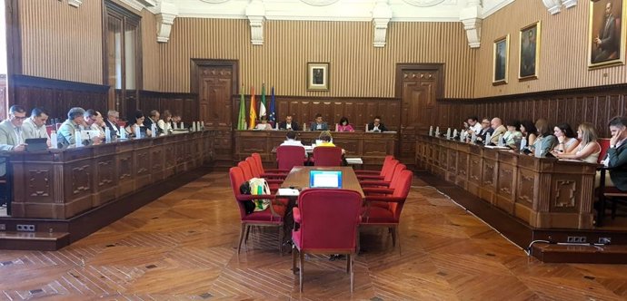 Pleno ordinario de la Diputación de Jaén.