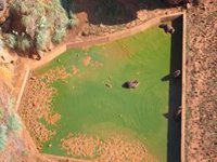 Cabárceno recibe en el primer semestre 12.000 visitantes más que en el ecuador de 2024