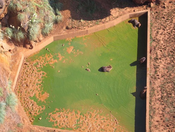Archivo - Recinto osos Cabárceno visto desde la telecabina. Turismo. Cantur