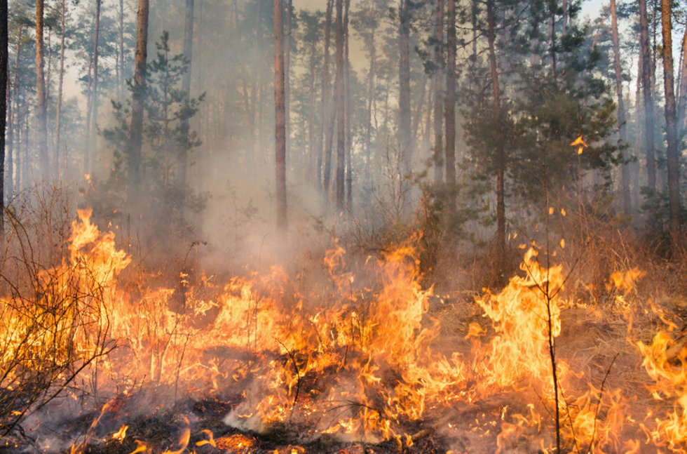 Archivo - Imagen de archivo de un incendio en Canarias