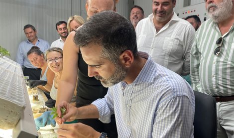 Es Andalucía - Cádiz