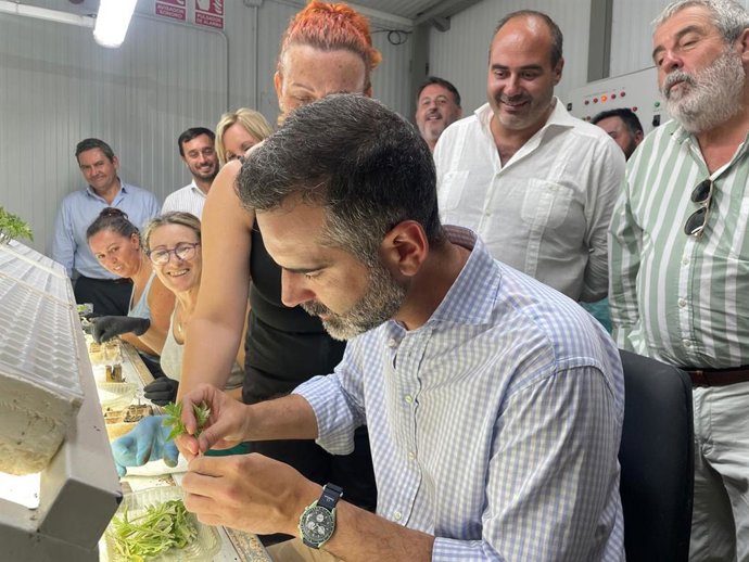 El consejero de Agricultura, Ramón Fernández-Pacheco, en la cooperativa Nuestra Señora de las Virtudes en Conil.