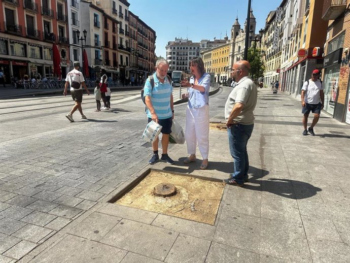 La portavoz del grupo municipal del PSOE en el Ayuntamiento de Zaragoza, Lola Ranera, critica la "tala indiscriminada" de árboles que "llevado a cabo la alcaldesa, Natalia Chueca, la última en la avenida César Augusto