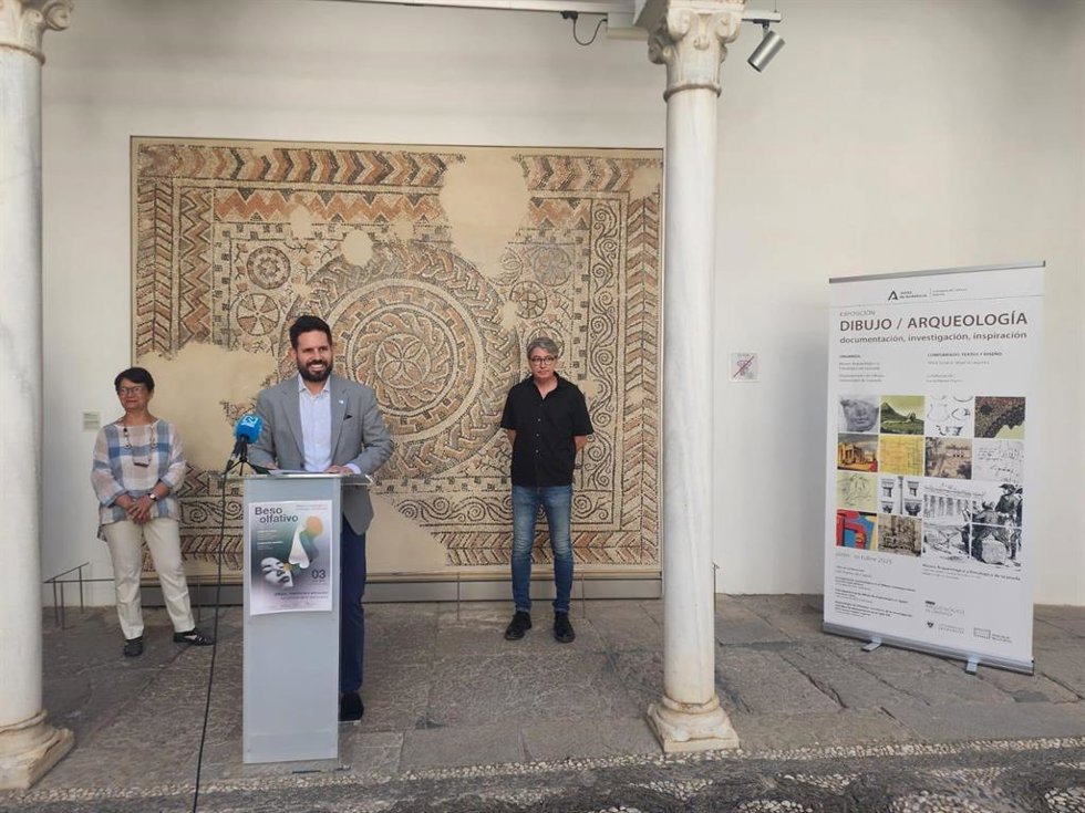 El delegado de Cultura de la Junta en Granada, David Rodríguez, interviene ante los medios