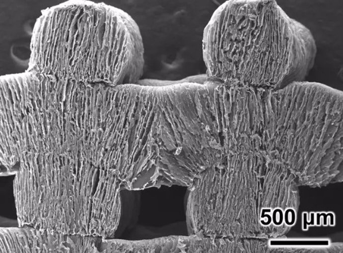 No se trata de una cadena de papel, sino de un material impreso en 3D que absorbe el agua del mar y la purifica convirtiéndola en agua sin sal.