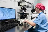 Foto: La edad materna avanzada no afecta a los resultados reproductivos si se transfieren embriones genéticamente normales
