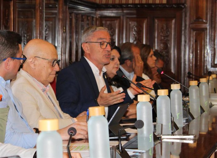 Luis Mariano Camacho (PP) interviniendo en el pleno de Diputación