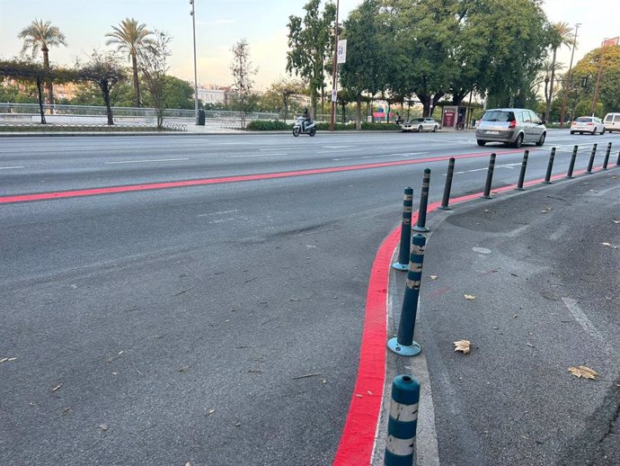 Archivo - Marcas viales para delimitar los carriles bus