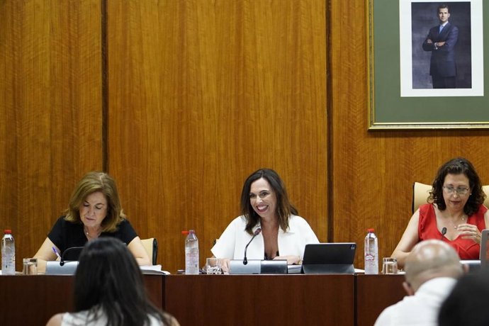 La consejera de Fomento, Rocío Díaz, en comisión parlamentaria