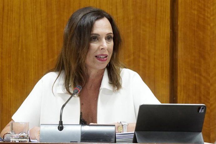 La consejera de Fomento, Articulación del Territorio y Vivienda, Rocío Díaz, en comisión parlamentaria.