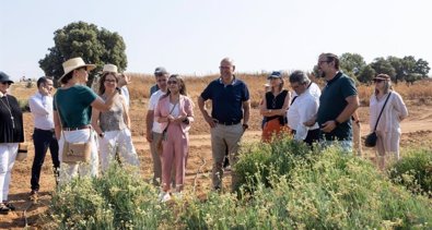 Castilla-La Mancha
