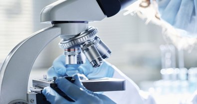 Investigación