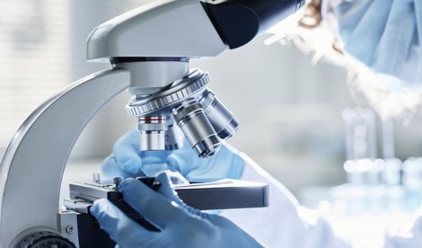 Investigación
