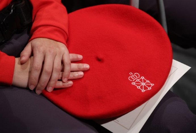 Interior modifica la normativa para introducir el empleo de las pistolas táser por parte de la Policía Foral