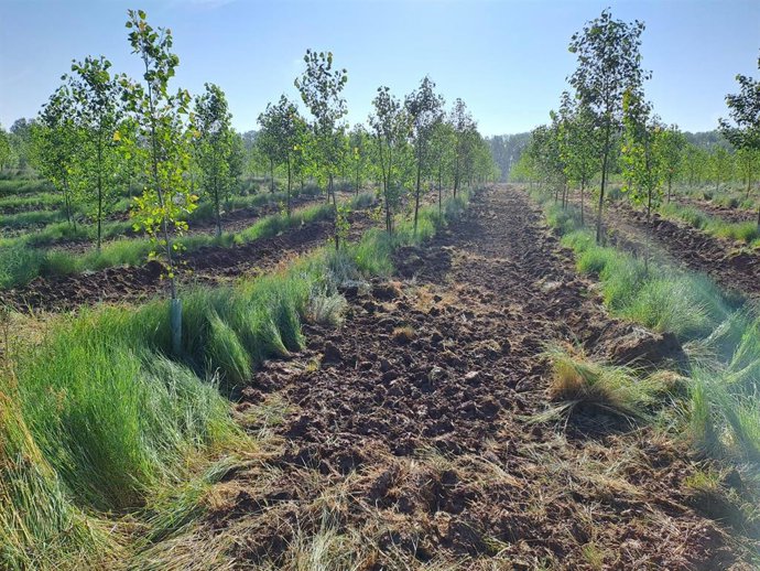 Cubo de la Solana (Soria).