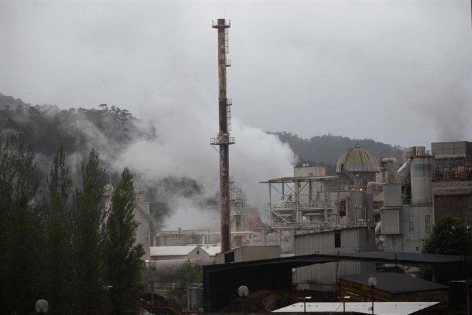 Archivo - La fábrica Ence durante una nueva manifestación contra las empresas de celulosa Altri y Ence, a 16 de junio de 2024, en Pontevedra, Galicia (España). La Plataforma Ulloa Viva y la Plataforma en Defensa da Ría de Arousa (PDRA) han convocado una n