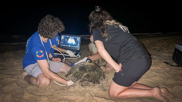 Vídeo de la noticia