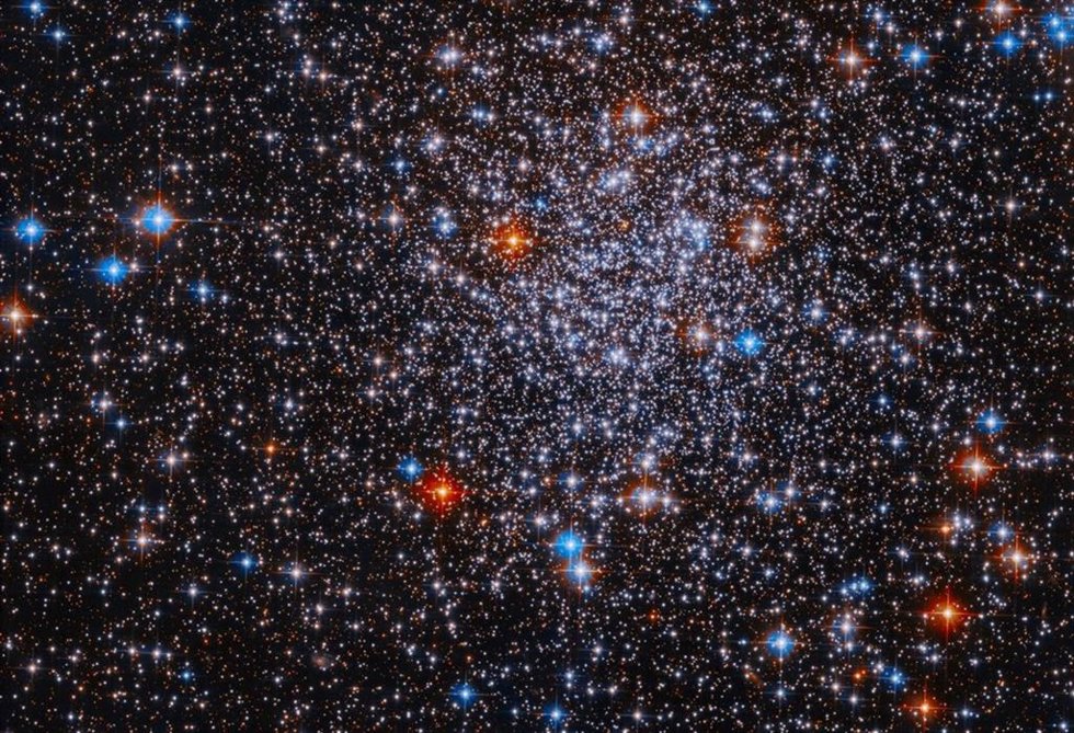Esta imagen del Telescopio Espacial Hubble de la NASA muestra un denso y deslumbrante conjunto de estrellas resplandecientes que forman el cúmulo globular ESO 591-12.