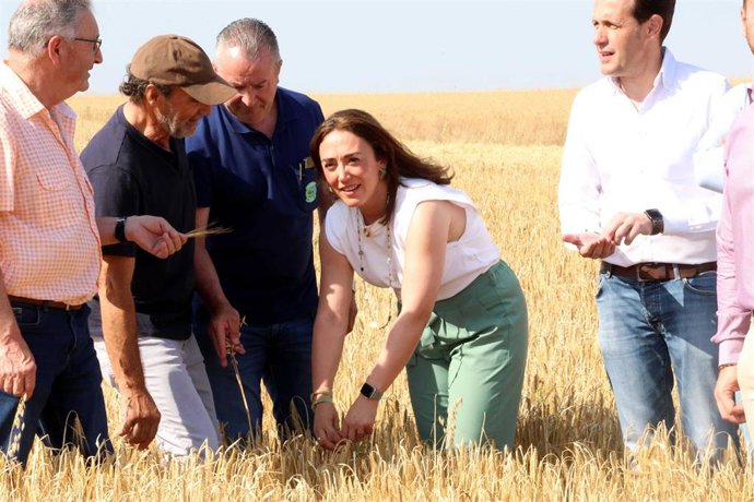 González Corral en una parcela de cereal en Mayorga de Campos
