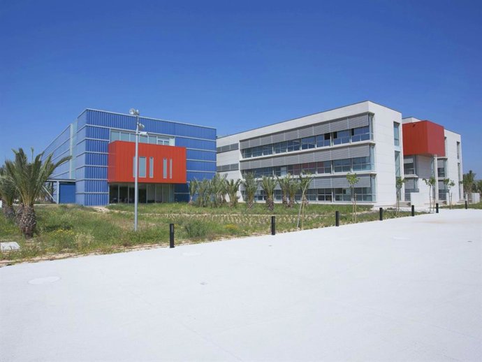 Archivo - Campus de la Universidad Miguel Hernández de Elche (UMH).