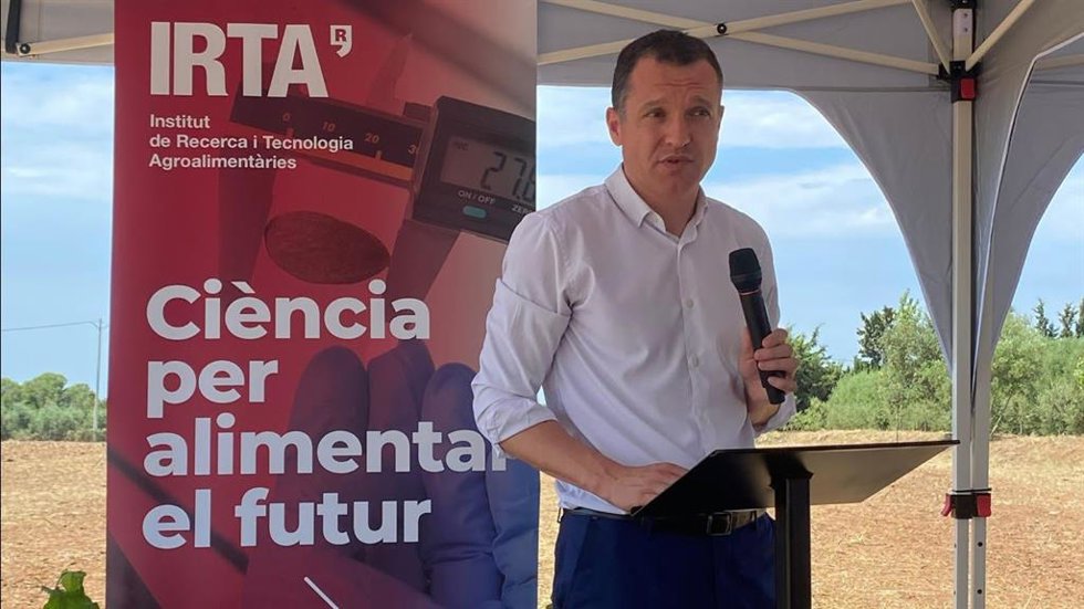 El conseller de Agricultura, Ganadería, Pesca y Alimentación de la Generalitat, scar Ordeig, en Constantí (Tarragona)