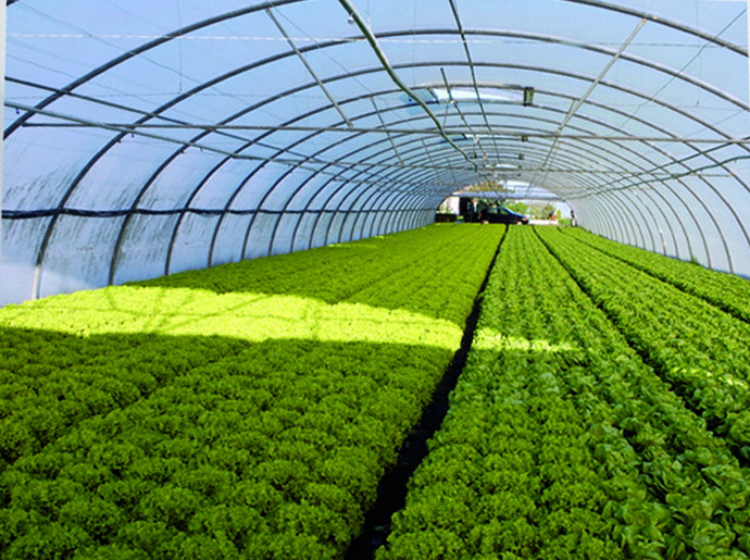 Archivo - Imagen industria