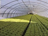 Foto: Andalucía Trade refuerza con cinco empresas la presencia de la industria auxiliar agrícola en Latinoamérica