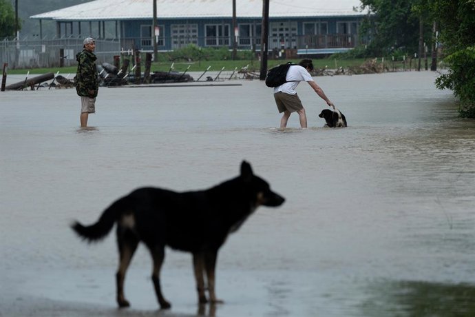Archivo - HOUSTON, May 8, 2024  -- This photo shows people and dogs wading through a flooded area in Channelview, east of Houston, Texas, the United States, May 5, 2024. At least one boy was killed and a woman injured on Sunday in floodwaters in Texas, wh