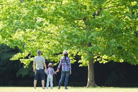 Foto: HAKASE_/ISTOCK - Archivo