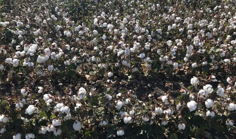 Es Andalucía - Cádiz