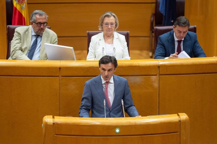 El Consejero De Fomento E Infraestructuras, Jorge García Montoro, Durante Su Intervención En El Senado.