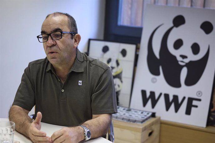 El secretario general de WWF, Juan Carlos del Olmo, durante una entrevista para Europa Press, a 11 de junio de 2025, en Madrid (España). 
