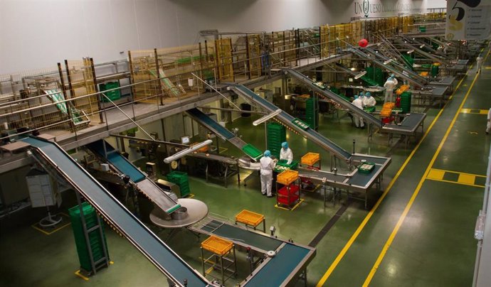 La Junta invierte más de cinco millones en lo que va de legislatura en el fomento del cooperativismo