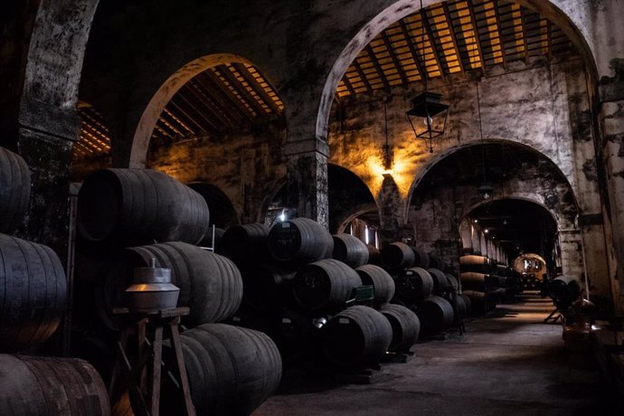 Archivo - Bodegas Osborne.