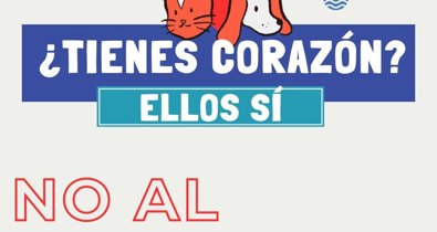Jerez al día
