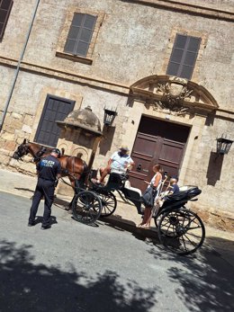 Policía Local de Palma denuncia al conductor de una galera por circular durante alerta amarilla por altas temperaturas