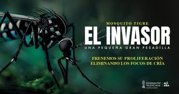 Sanidad aconseja evitar acúmulos de agua en recipientes para impedir la proliferación del mosquito tigre