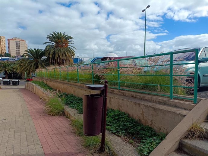 La ACBC reclama el control del rabogato en aceras y espacios públicos de Las Palmas de Gran Canaria