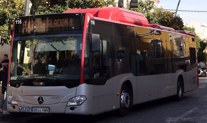 Archivo - Un autobús urbano de Jerez de la Frontera. (Foto de archivo).