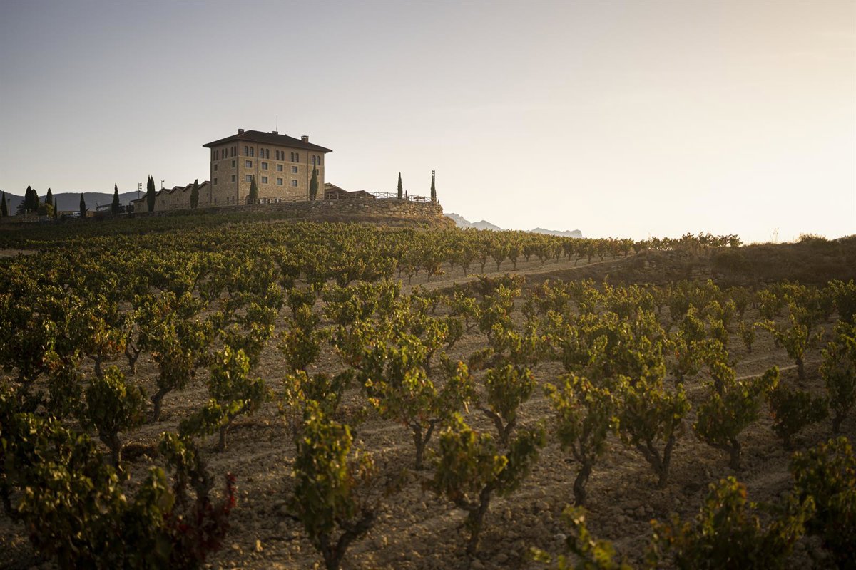 Verano entre viñas, catas y música en vivo al atardecer: el alma de Rioja desde la Hacienda López de Haro