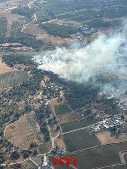Incendio en Vilafranca del Penedès (Tarragona) cerca de la C-15